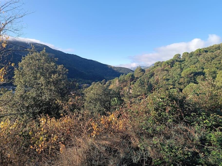 F2 Classe 3 Etoiles Vue Montagne, Exterieur Clos Arles-sur-Tech Dış mekan fotoğraf